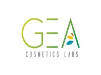  GEA Lab 